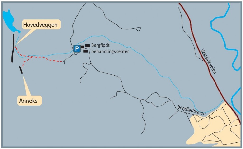 Bergflødt-detalj