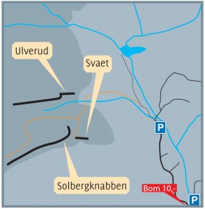 Solbergaasen-detalj